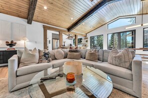 TV, fireplace, DVD player, books