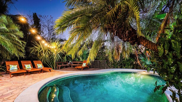 A swimming pool with a curved edge, surrounded by wooden lounge chairs and palm trees.