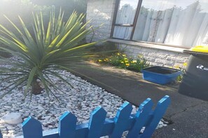 Property grounds - Charming 2-Bedroom Home in South Dunedin (Dunedin)