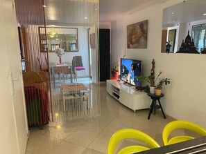 TV - 90m² souplex apartment (Paris)