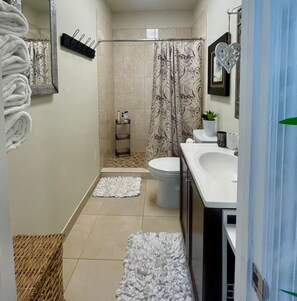 Douche, séchoir à cheveux, serviettes fournies, savon