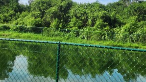 Une clôture en treillis métallique entoure une étendue d’eau, avec une végétation luxuriante et des arbres en arrière-plan.