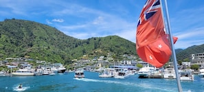 Marina - Best Harbour Views in Sunny Peaceful Location (Picton)