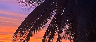 Tali Beachfront Retreat – Luxury & Seclusion at Oak Beach