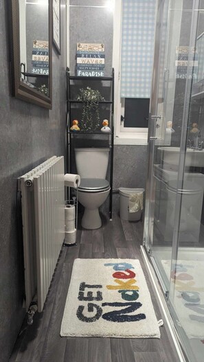 Hair dryer, towels, toilet paper