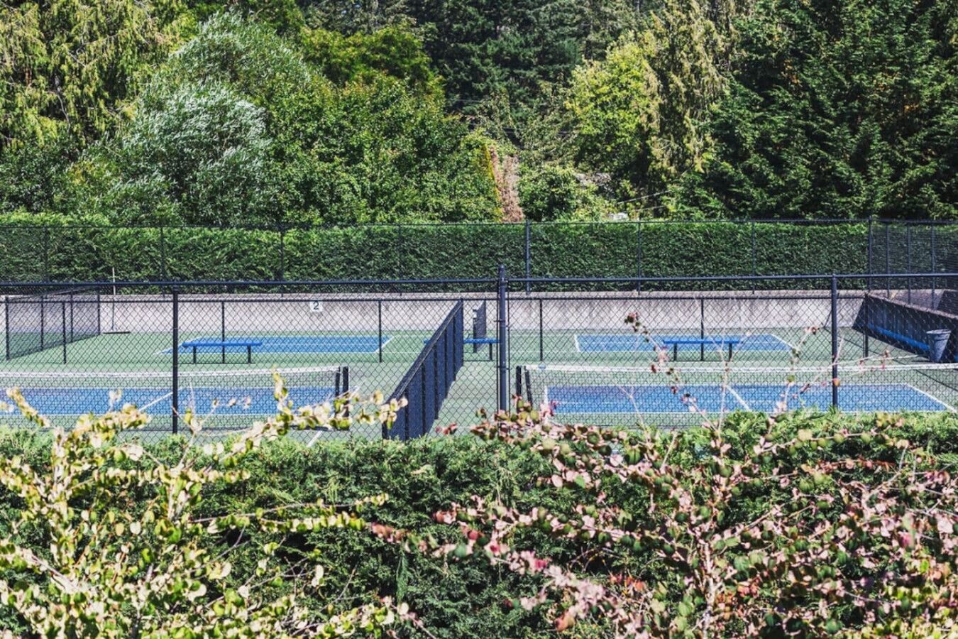 Un court de tennis entouré d’une végétation luxuriante et délimité par une clôture grillagée.