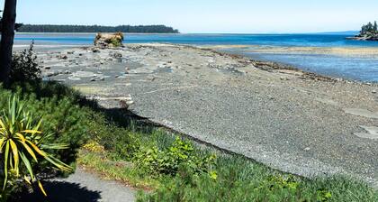 Forest Stream Escape Suite B