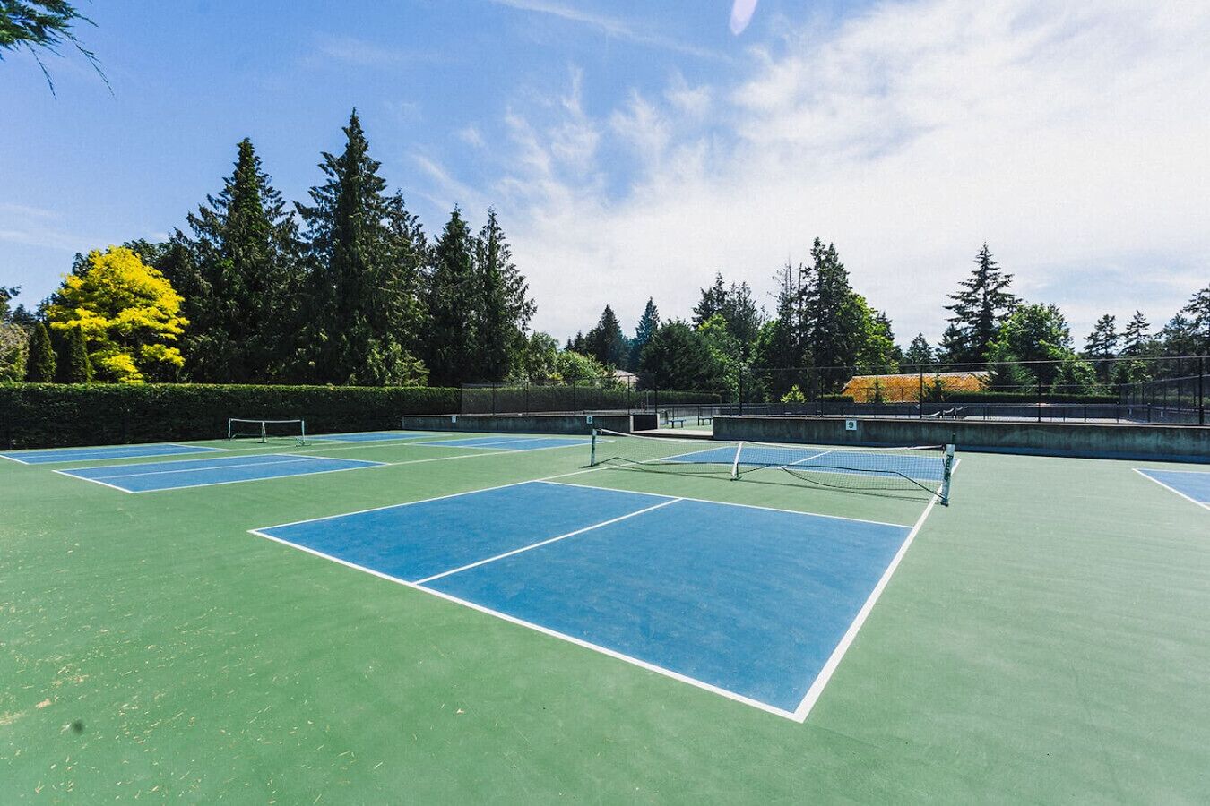 A tennis court with multiple courts, surrounded by trees and a clear sky.