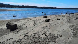 A beach with scattered rocks and a calm sea under a clear sky. - Escape & Unwind in Suite A (Nanoose Bay)