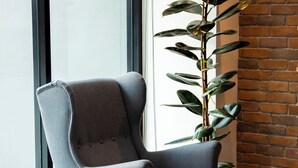 Un área de descanso moderna con un sillón gris, una mesita con un cactus y una planta alta frente a una pared de ladrillo.
