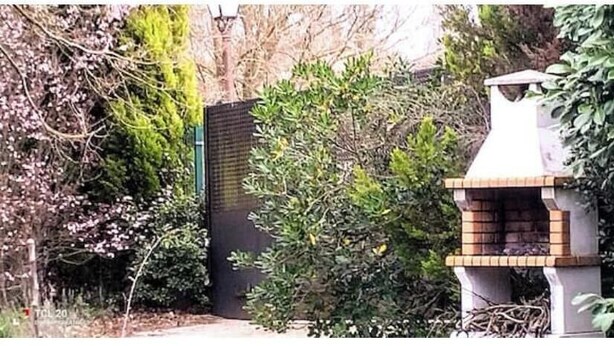 A bird feeder with a brick base and a wooden top, surrounded by dense foliage and a brick wall.
