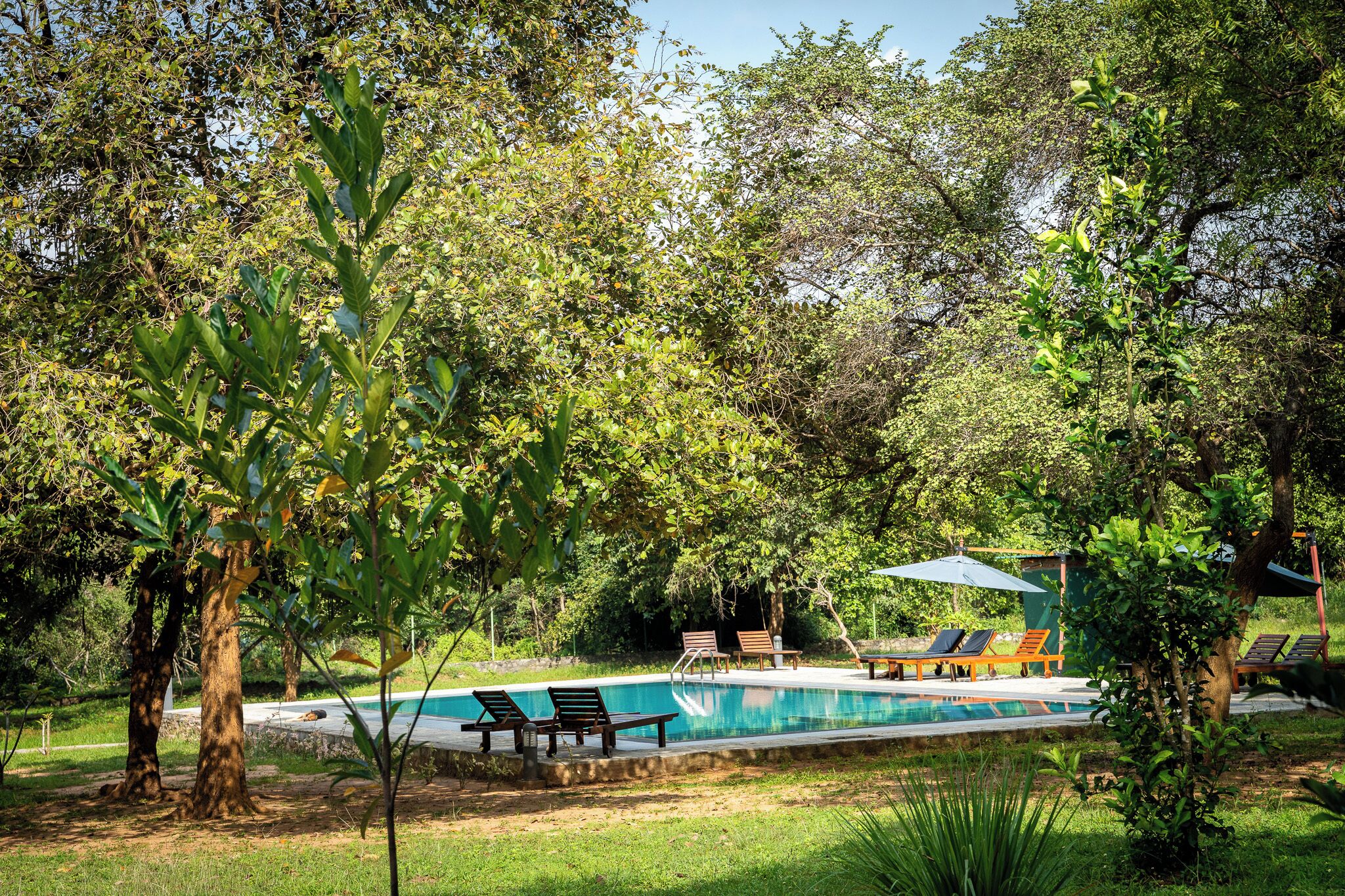 A swimming pool surrounded by lush greenery and trees, with lounge chairs and umbrellas for relaxation.