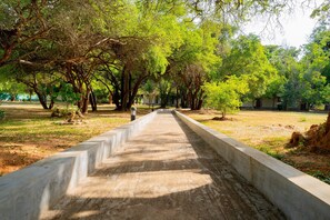 A pathway lined with trees and a concrete barrier. - Pothana Village (Sigiriya)