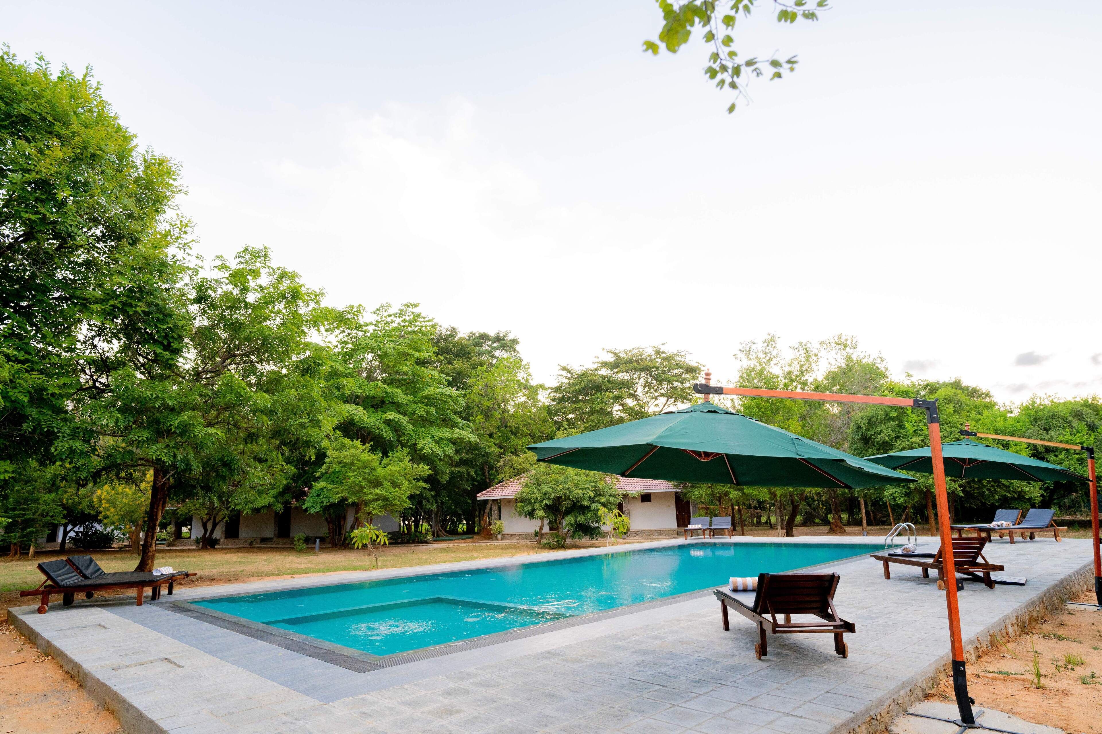 A swimming pool with lounge chairs and umbrellas, surrounded by trees and a clear sky.