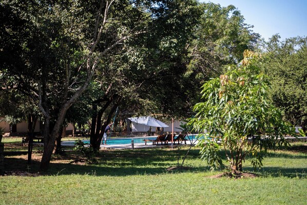 Zona de piscina con sillones de descanso y sombrillas, rodeada de árboles y césped.