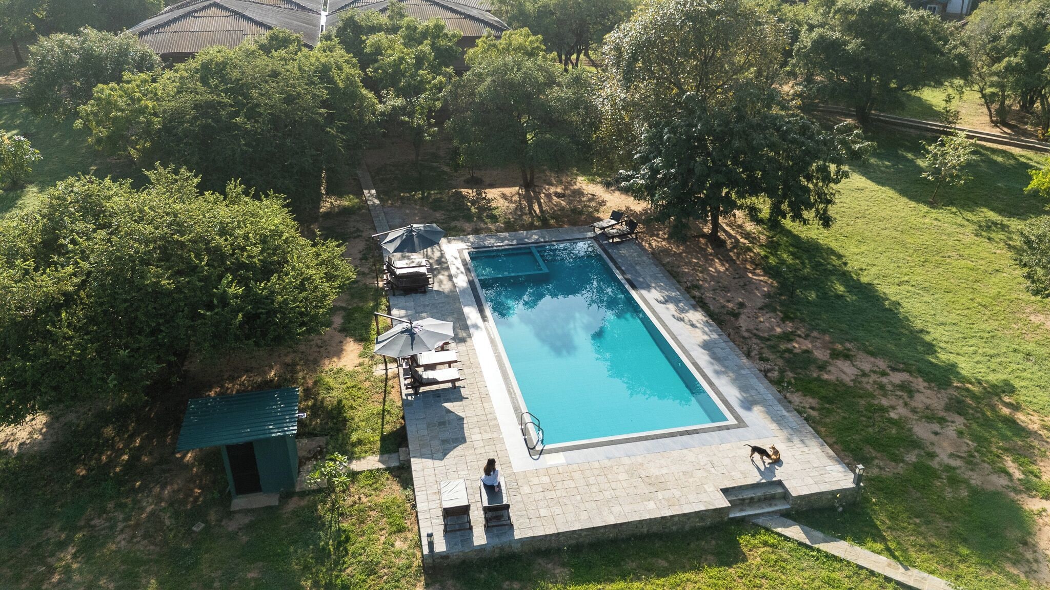 An aerial view of a rectangular swimming pool with a tiled deck, surrounded by trees and a grassy area.