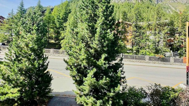 A parking area with tall evergreen trees in the foreground, a stone wall, and a mountain in the background.