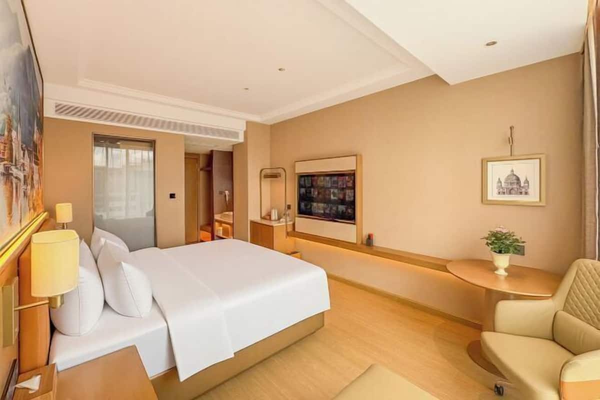 A hotel room with a bed, a desk, a chair, a small table with a plant, and a wall-mounted TV.