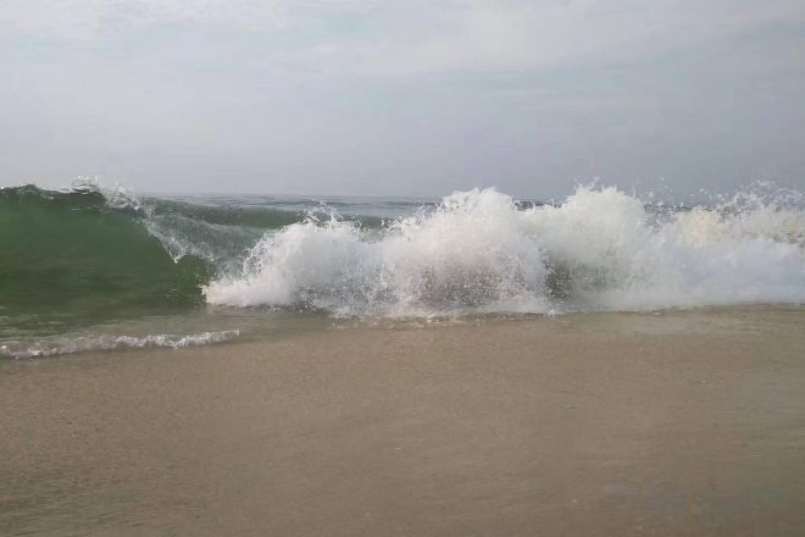Una playa con olas rompiendo en la orilla.