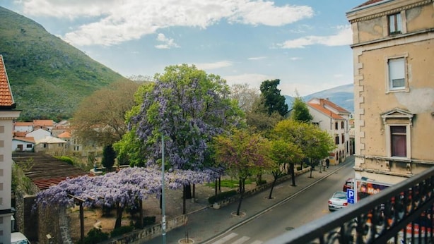 A street with buildings, trees, and a mountain in the background. - Hotel Villa Lejla (Mostar)