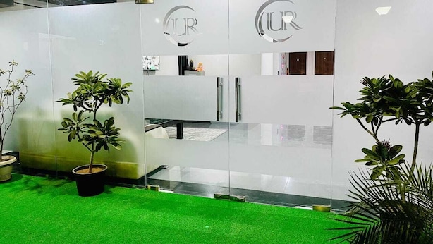 Zona de recepción con pared de vidrio, plantas en macetas y alfombra verde.