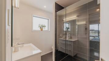 A modern bathroom with a glass shower enclosure, a white sink, and a window with a plant.