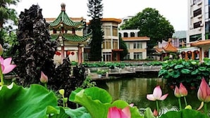 A traditional Chinese building with a green roof and a pond with lotus flowers. - Qujiangying Hotel (Shaoguan)