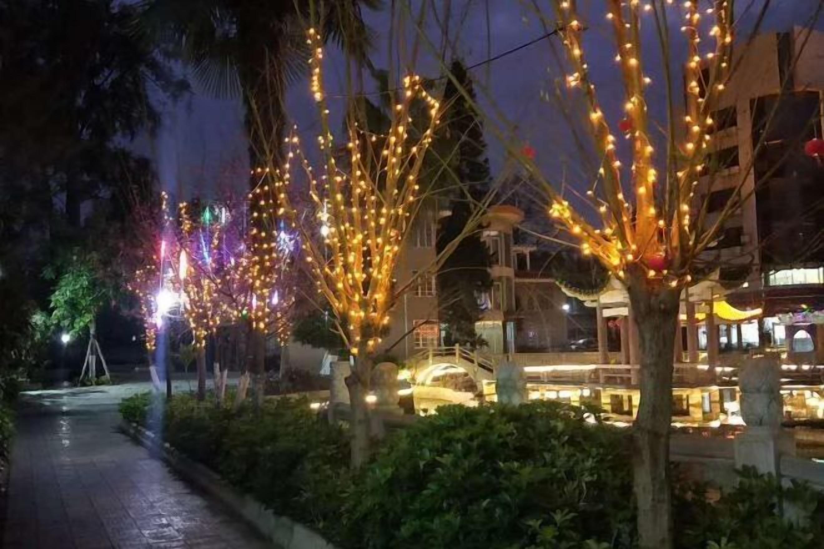 A pathway lined with trees adorned with string lights, leading to a building with multiple balconies and a bridge.