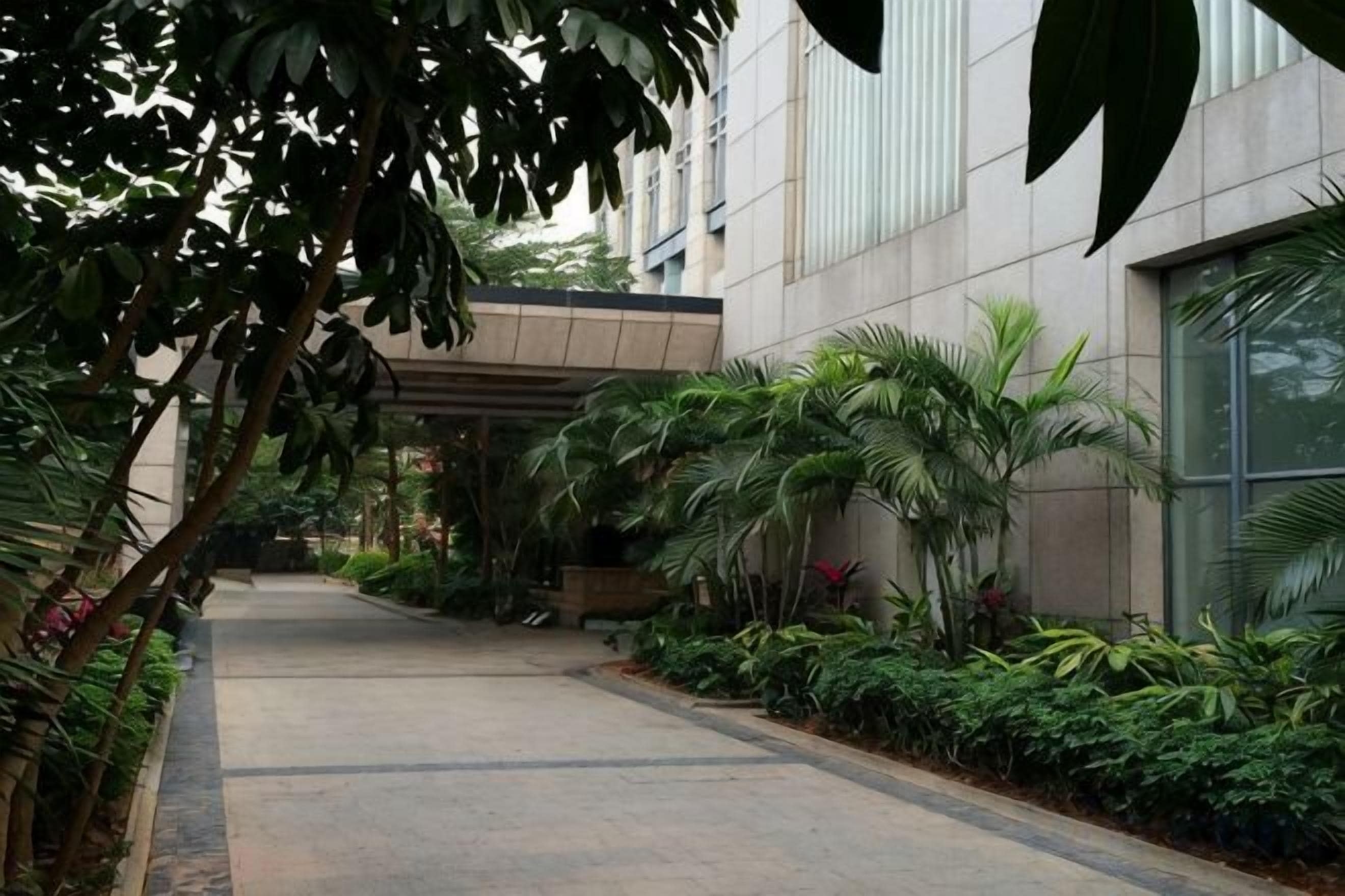 A pathway flanked by lush greenery and a modern building facade.
