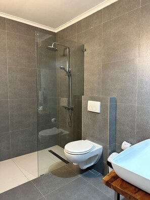Shower, towels, toilet paper