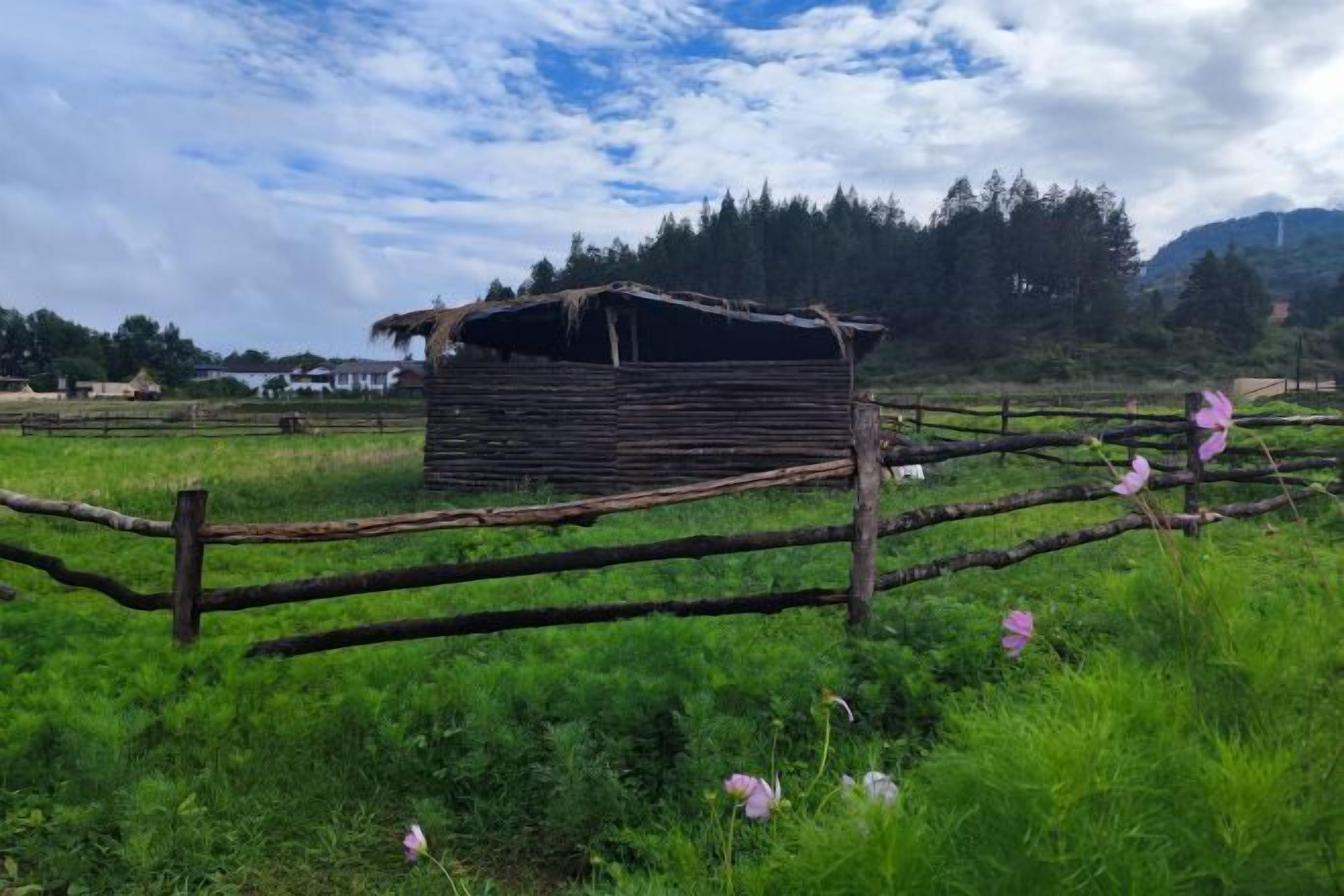 Una estructura de madera rústica en un campo cubierto de hierba, con una cerca y flores silvestres.