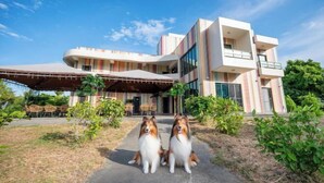 A modern building with a curved facade and a covered entrance area. - Rainbow Mansion (Taitung)