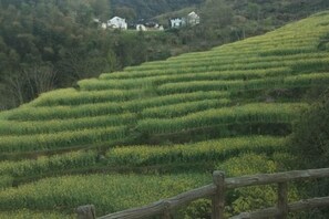 Miscellaneous - Yeren Villa (Shitai)