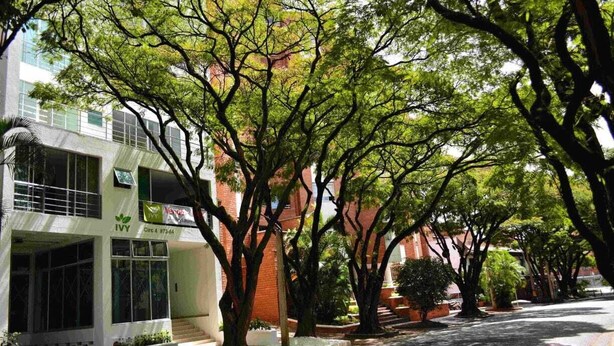 Un edificio moderno con un cartel que dice 'Ivy' y 'Viva'.