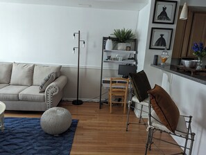Smart TV, fireplace, books, computer monitors