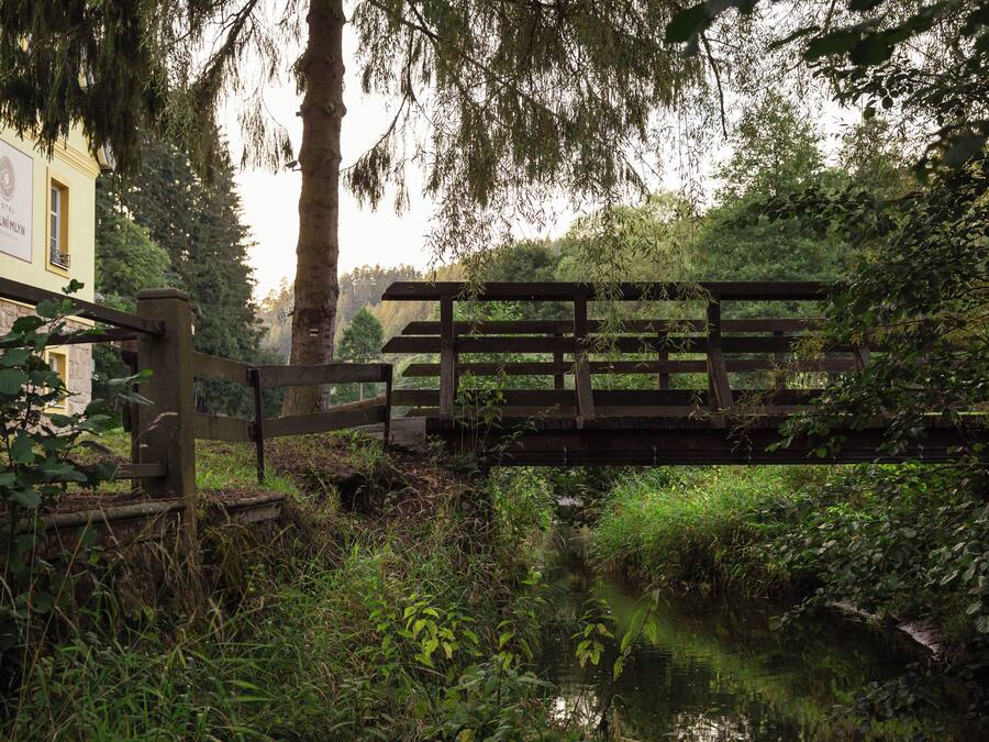 A wooden bridge over a calm water body, surrounded by lush greenery and a building with a sign.