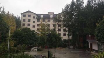 Un edificio de varios pisos con fachada simétrica, rodeado de árboles y un área pavimentada.
