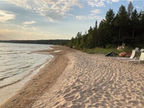 Une plage de sable bordée d’une rangée de chaises longues vides, avec une zone boisée en arrière-plan.