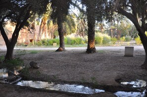 Exterior - Bivouac Sous les palmiers bleus (Ouijjane)