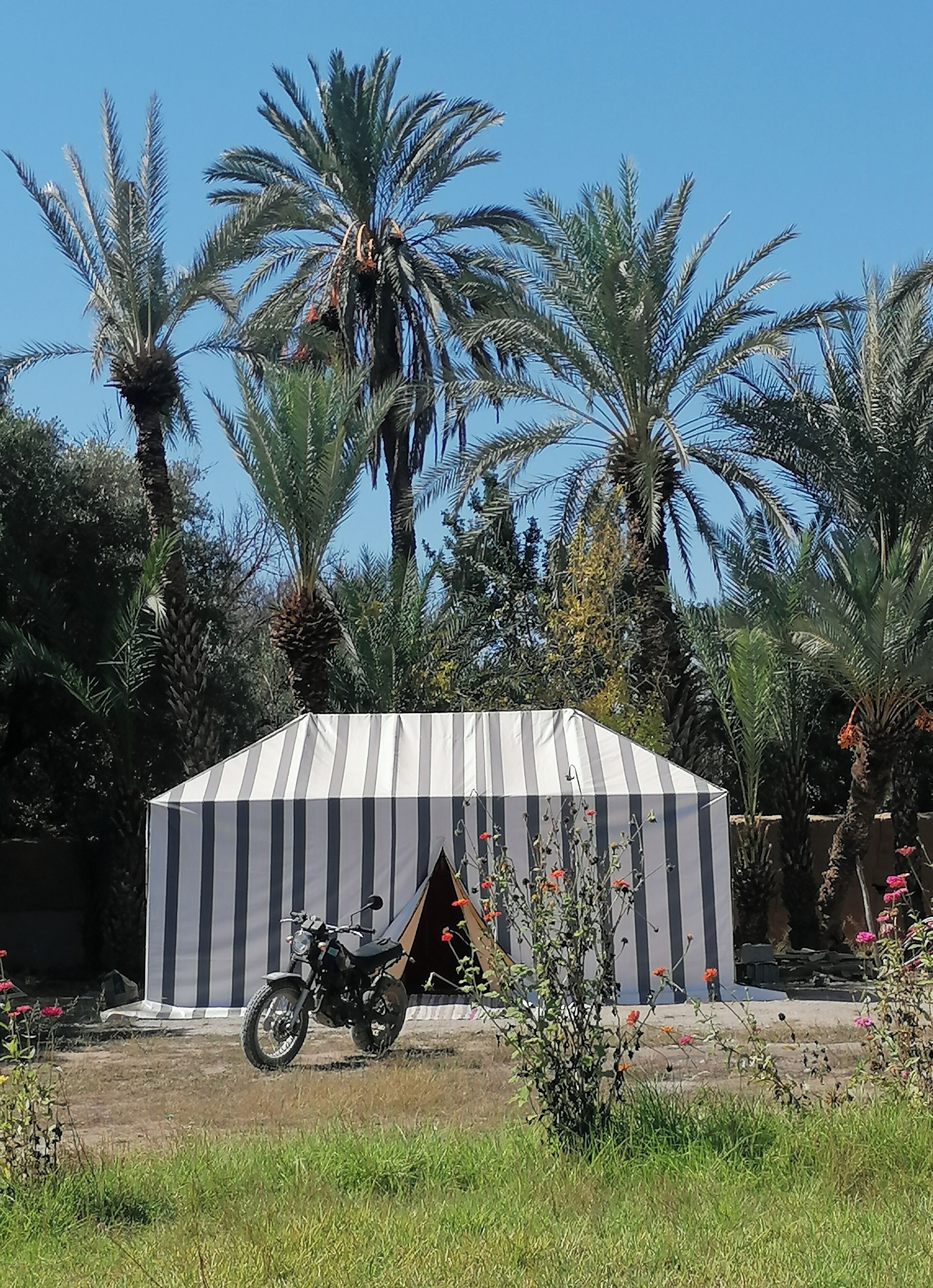 Ein gestreiftes Zelt mit einem Motorrad davor.