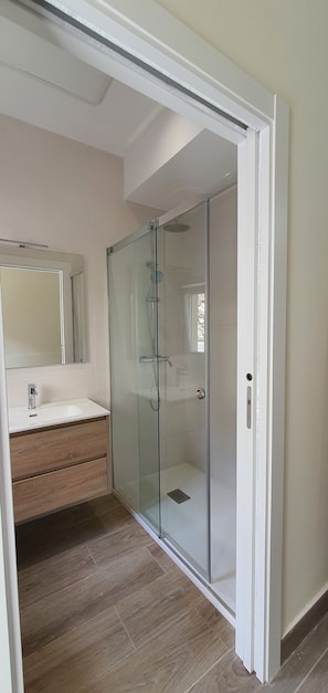 Shower, hair dryer, bidet, towels