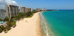 A beach with a sandy shore, palm trees, and a clear blue ocean.