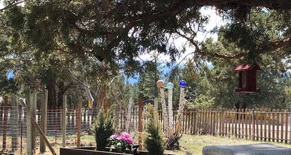 Mt Shasta, Lake Siskiyou, Montague Balloon Festival - house in peaceful Weed.