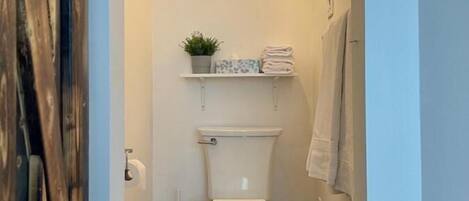 A narrow bathroom with a white toilet, a small shelf with a plant and towels, and a ceiling light fixture.