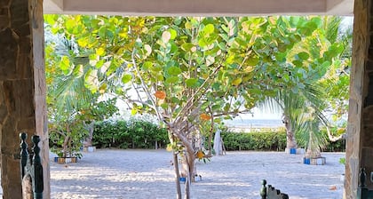 Immerse yourself in the tropical experience you deserve.