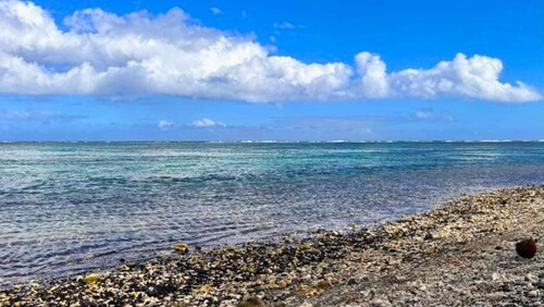 TAHITI - Bungalow Arii