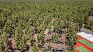Ovenfra set et boligområde med huse omgivet af tæt skov, en tennisbane og et fjerntliggende bjerglandskab.
