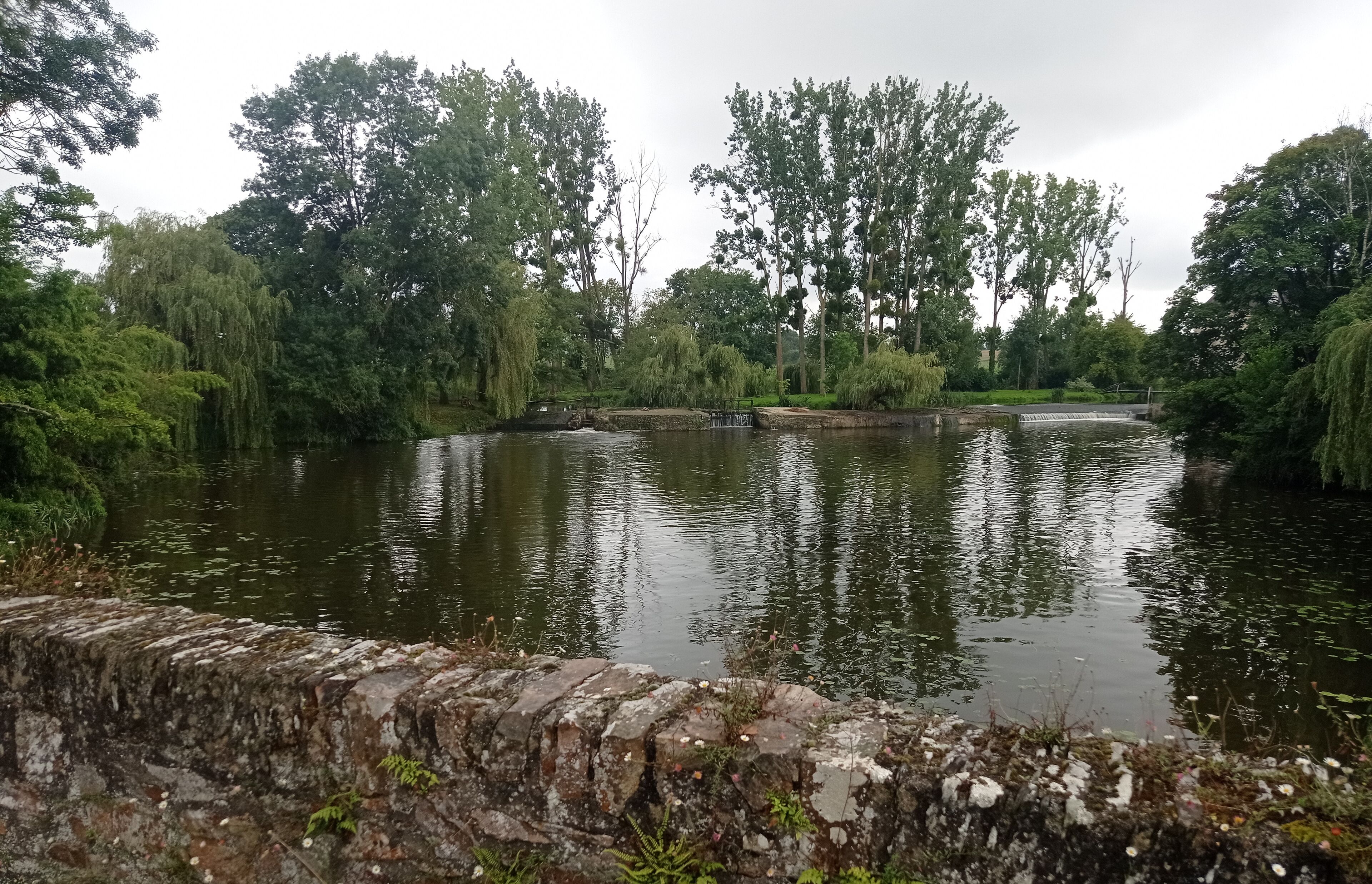 A tranquil riverside scene with a stone wall and lush greenery.