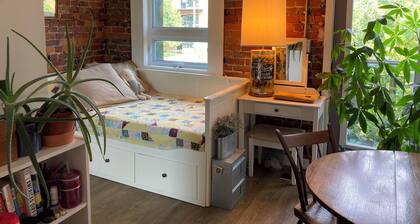 Gorgeous 3 bedroom in West-End Toronto, Close to U of Toronto, TMU