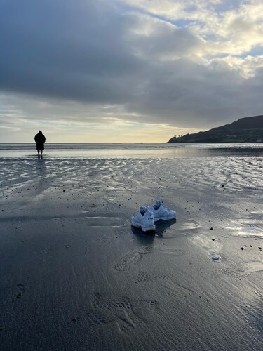 Carnlough cosy 1 bedroom apartment right beside the beach